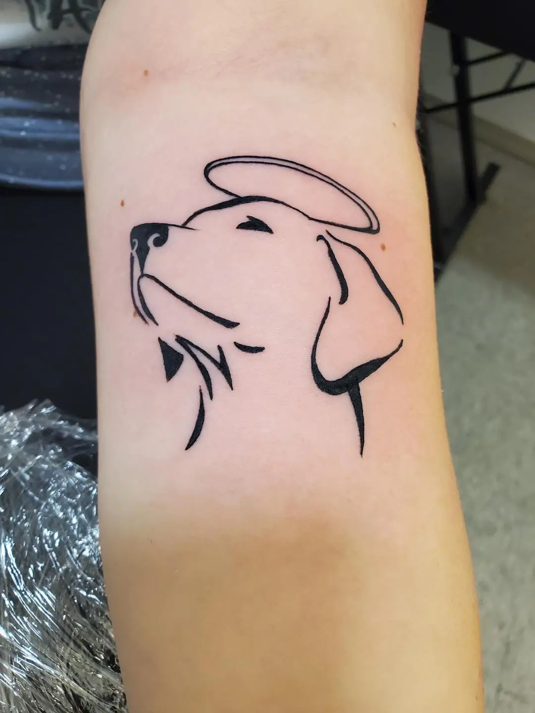 Quality Tattoo in Jenison MI