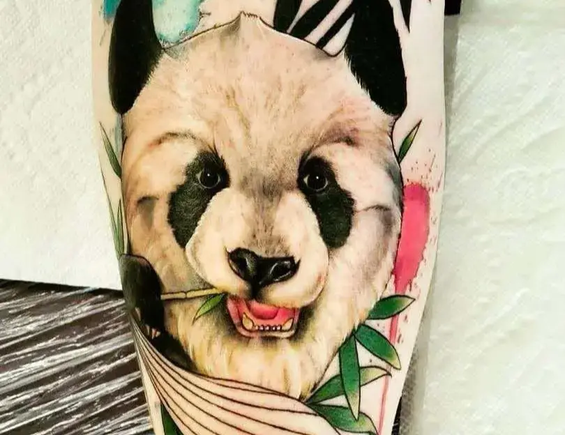 Realism, colored panda eating bamboo with watercolor splotches tattoo