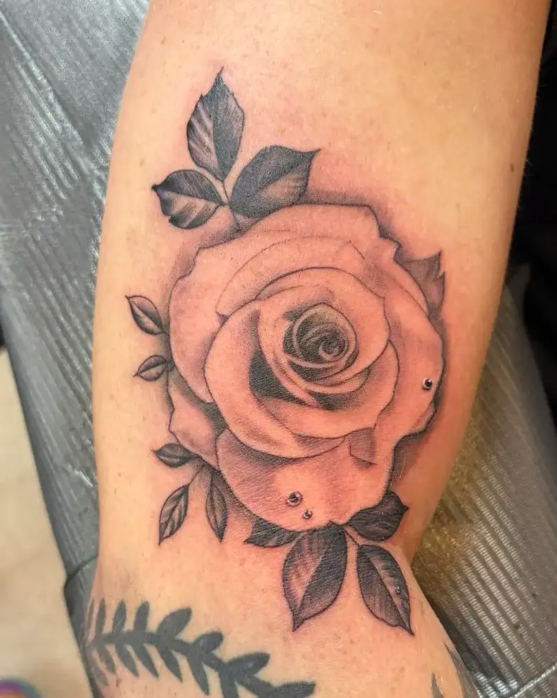 Highly detailed realistic black and grey rose tattoo with leaves and small water droplets on the petals, placed on the client's forearm.